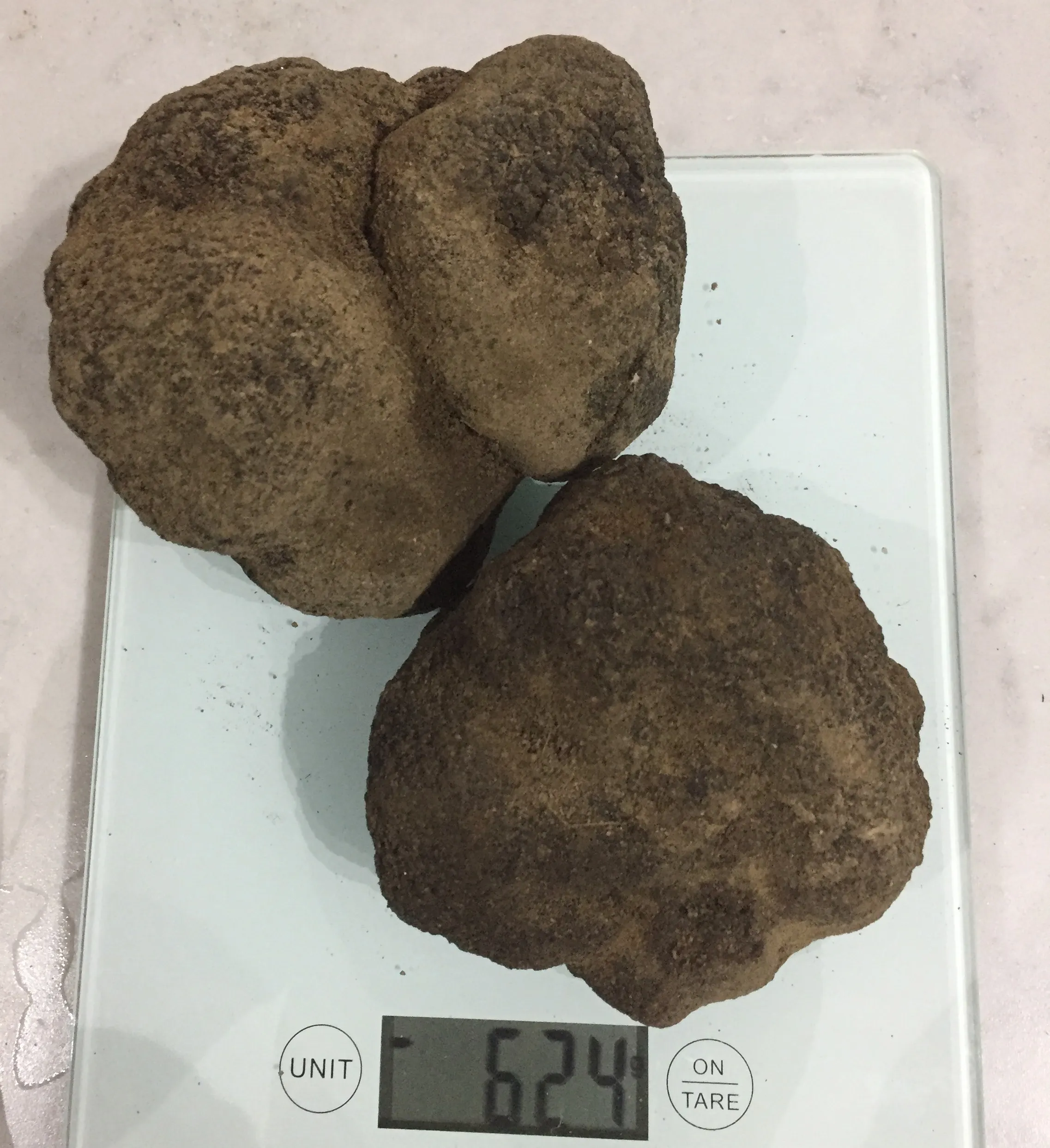624g of truffles