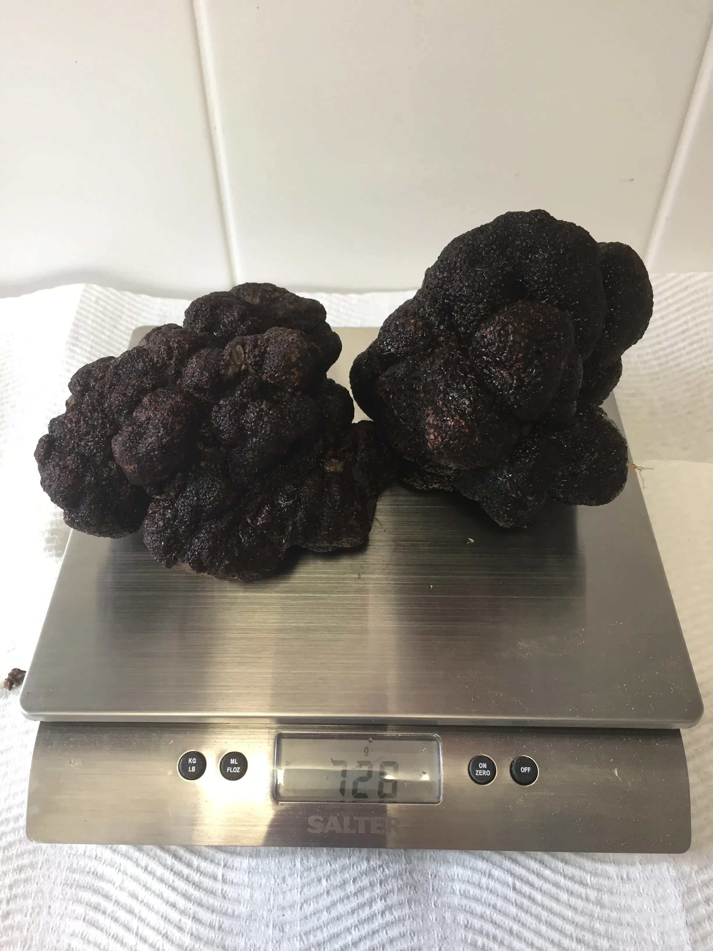 A 726g truffle