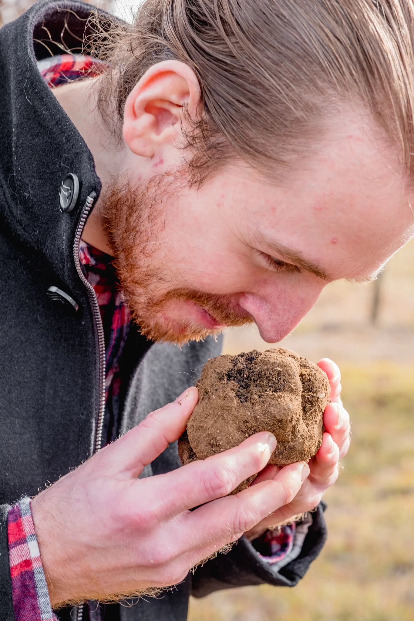 The aroma of a fresh truffle