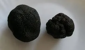 Two perfect truffles